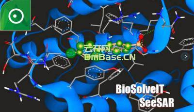 BioSolveIT SeeSAR免费(化合物分析软件)V13.1.1 附激活补丁
