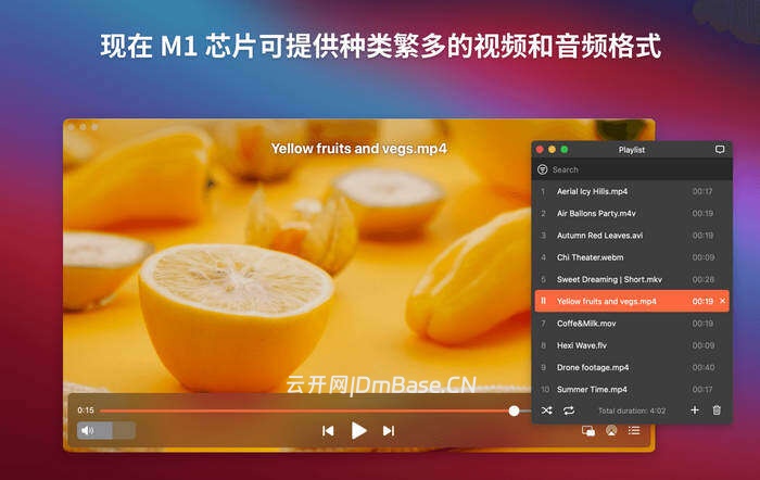 Elmedia Player Pro中文版v8.23 MacOS视频播放器
