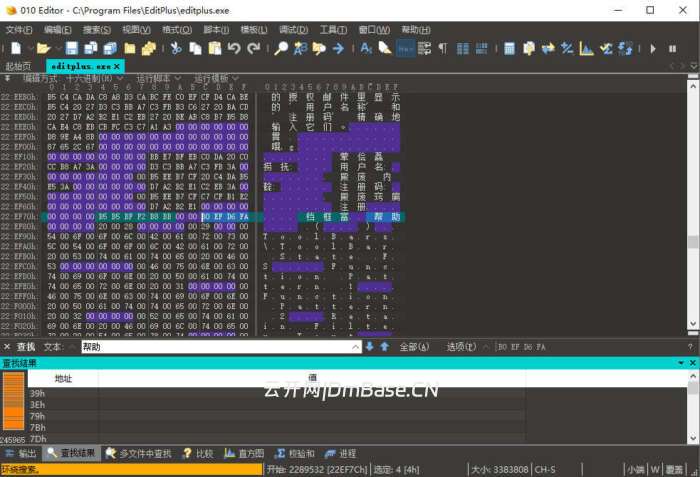 SweetScape 010 Editor中文版v16.0.4 十六进制编辑器