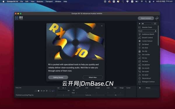 iZotope RX 11中文版V11.3.0 | MacOS音频编辑器