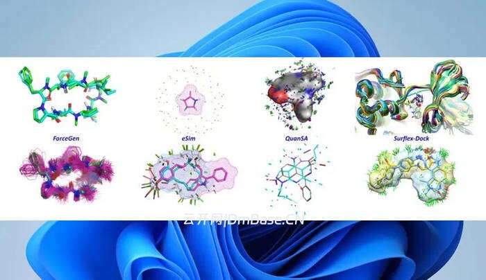 BioPharmics Surflex Platform完整版V5.197| 药物发现软件