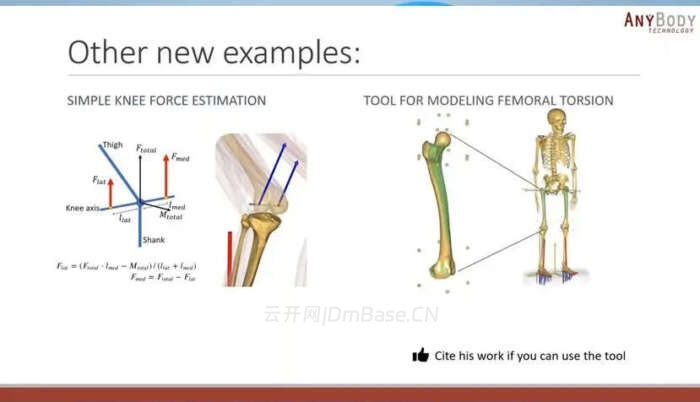 AnyBody Modeling System v8.1.4.12797 | 人体生物力学仿真软件