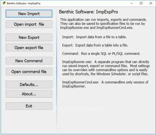 Benthic Software ImpExpPro 1.3.0.130_Oracle数据库导入导出