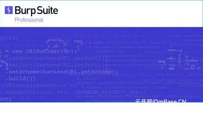 Burp Suite Pro 2026.4.3_Web渗透测试工具_网站漏洞扫描工具