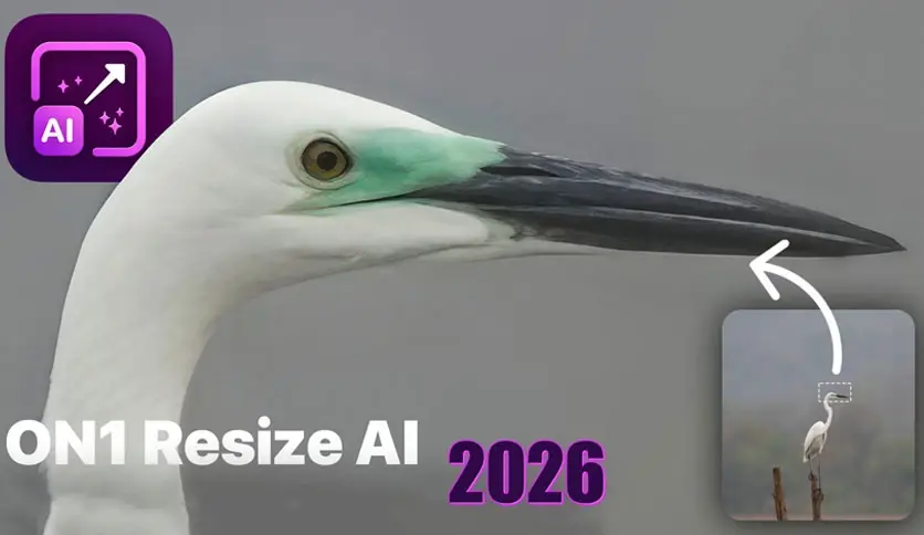 ON1 Resize AI 2026.5.2_图片无损放大软件_v20.5.2.19304