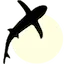 Benthic Software ImpExpPro 1.3.0.130_Oracle数据库导入导出