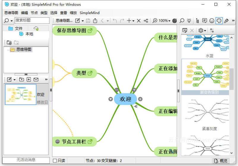 SimpleMind Pro汉化版v2.9.2_思维导图软件_Win+Android