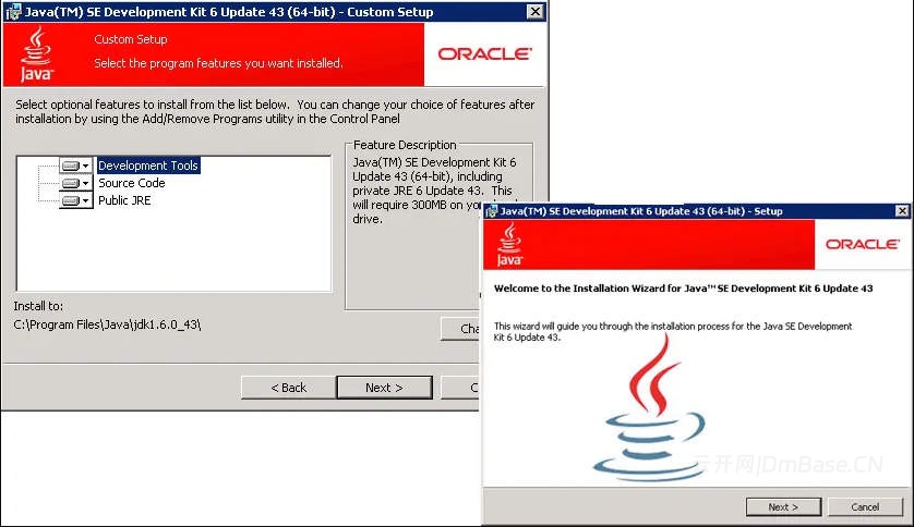 Java SE Development Kit (JDK) 25.0.3_Java开发工具