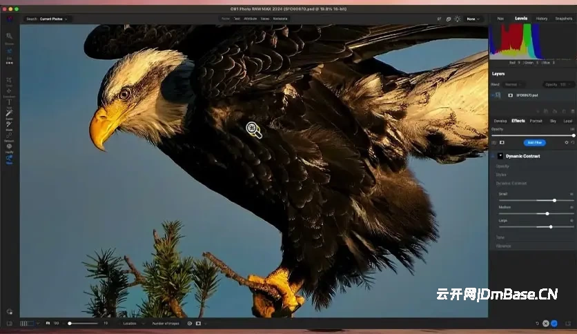 ON1 Photo RAW MAX 2026.5_MacOS版_v20.5.0.19010