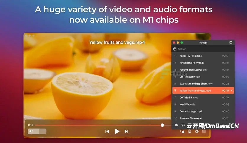Elmedia Player Pro for macOS 8.24_Mac全能视频播放器