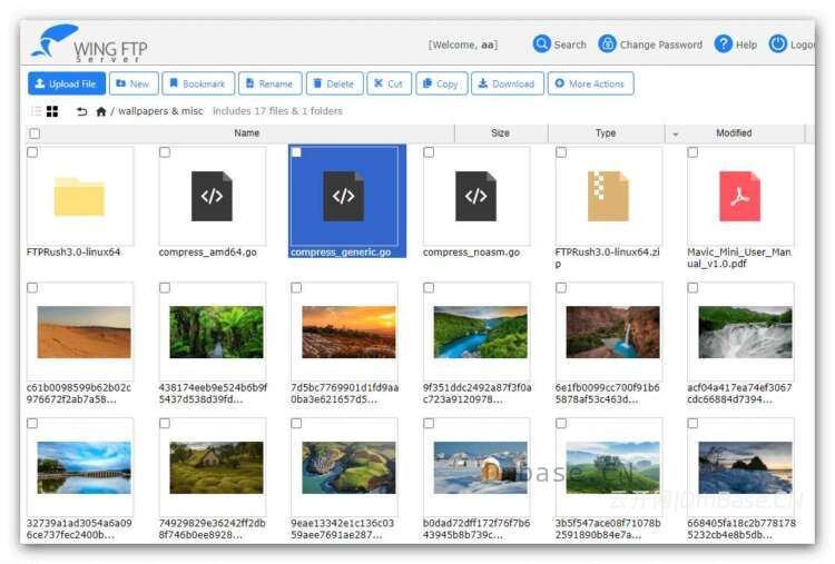 Wing FTP Server企业版v8.2.2_FTP服务器软件