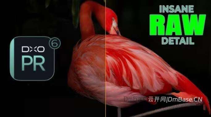 DxO PureRAW 6.8.0.7_RAW照片降噪_AI图像优化软件