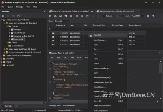 QueueExplorer Pro 5.1_消息队列管理与调试软件
