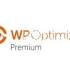 WP-Optimize Premium破解版免费V3.3.0 网站性能优化WordPress插件