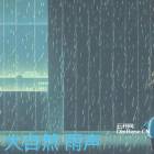 《大自然 雨声 白噪音》[FLAC/分轨][416.27MB]