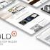 Enfold免费版v6.0.0(多用途企业建站模板WP主题)