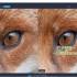 Topaz Gigapixel AI激活版(AI图片放大软件)v7.3.2 附激活补丁