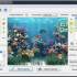 DP Animation Maker v3.5.50_GIF动图制作软件