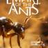 蚂蚁帝国(Empire of the Ants)中文版_即时战略游戏_全DLC