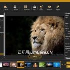 iWatermark Pro注册版v4.0.34_一键批量图片加水印
