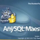 AnySQL Maestro Pro注册版v16.12.0.20下载_数据库管理工具