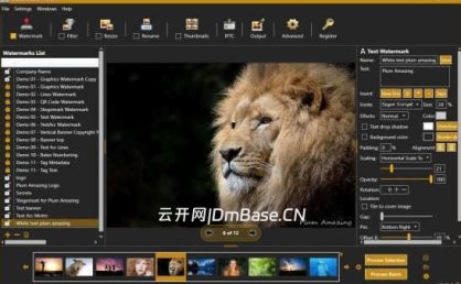 iWatermark Pro注册版v4.0.34_一键批量图片加水印