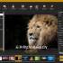 iWatermark Pro注册版v4.0.34_一键批量图片加水印