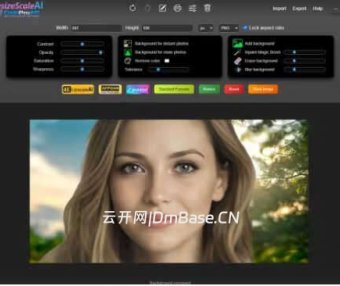 CodePro AP ResizeScaleAI激活版v1.2.1_AI图片无损放大软件