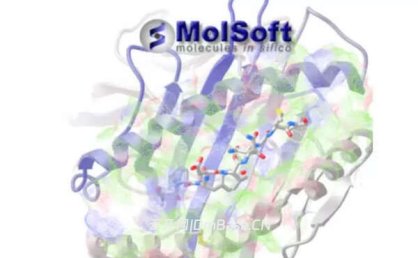 Molsoft ICM-Pro注册版v3.9-4a 蛋白质结构分析软件 Win+Linux