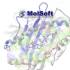 Molsoft ICM-Pro注册版v3.9-4a 蛋白质结构分析软件 Win+Linux