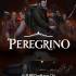 朝圣者(Peregrino)中文版 | RPG游戏 | 百度网盘+BT