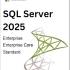 Microsoft SQL Server 2025(v17.0.1000.7)_标准版+企业版