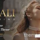 Akali免费版V1.0.1(首饰珠宝店网站模板WordPress主题)