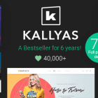 KALLYAS免费版V4.19.5(创意多用途企业建站WordPress主题)