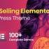 Phlox Pro免费(WordPress多行业通用建站模板)V5.16.2