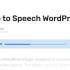 Speaker激活版V4.1.0 文章语音朗读WordPress插件