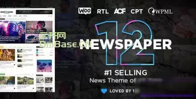 Newspaper破解版V12.6.7(畅销款新闻媒体网站模板WP主题)