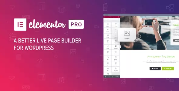 Elementor PRO汉化版V3.24.2(页面设计WordPress插件)