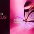 InPixio Photo Focus中文版v4.3.8627_照片清晰化软件_图片锐化