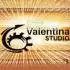 Valentina Studio Pro中文版v18.2_数据库管理软件