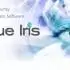Blue Iris注册版v6.0.3.4_专业监控软件_64通道视频录制