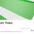Altair HW FEKO 2026.1_高频电磁仿真软件