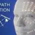 一键选择环形路径Blender插件_Ring Path Selection V1.1