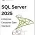 Microsoft SQL Server 2025(v17.0.1000.7)_标准版+企业版
