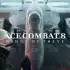 皇牌空战8:希芙之翼(ACE COMBAT 8)中文版_空战射击游戏